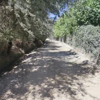فروش باغ گردو و بادام وانگور در روستای سیمین زاغه|فروش زمین و ملک کلنگی|بهار, |دیوار