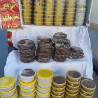 خرمای برحی آبادان