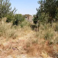 زمین داخل مجموعه منجیل آباد|فروش زمین و ملک کلنگی|رباط‌کریم, منجیل آباد|دیوار