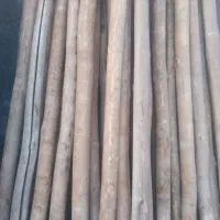 فروش چوب سقفی ساختمانی خشک چوب سالم