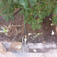 لوله کشی اب وفاضلاب استاد فرزین