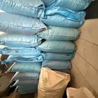 گندم بوجاری شده