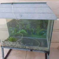 آکواریوم بزرگ به همراه چارپایه آهنی