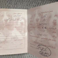 حیوان خانگی