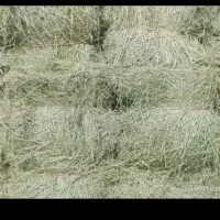 پرس یونجه.۱۳ عدد