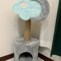 خانه سگ و گربه