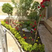 خدمات باغبانی باغچه کاری گلکاری تعویض خاک گلدون