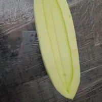 قالب جا اودی