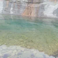 عسل زمستانه بشاگرد