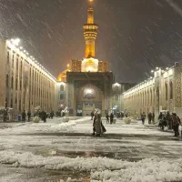 کاروان مشهد مقدس فوری