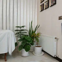 گل طبیعی با گلدان