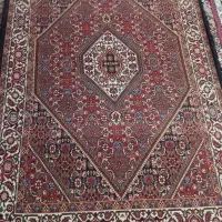 زرنیم|فرش|زنجان, |دیوار