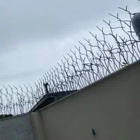 حفاظ شاخ گوزنی|مصالح و تجهیزات ساختمان|خمام, |دیوار