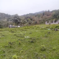 410متر-مسکونی-پلاک-1جنگل-ویو-دارلاهیجان-سیاهکل