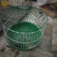 قفس 3عدد قفس