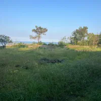 فروش ۲۵۰۰متر زمین ساحلی(جاده به ساحل)|فروش زمین و ملک کلنگی|نشتارود, |دیوار