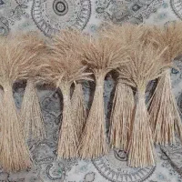 سنبل گندم برای تزیین .برای تزیین سفره هفتسین