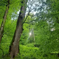 برنامه طبیعتگردی دوروزه