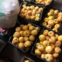 فروش به بومی