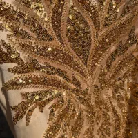 عبای مجلسی|لباس|صوفیان, |دیوار