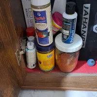 اکواریوم شیشه خم|ماهی|کرج, حیدرآباد|دیوار