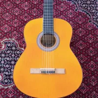 گیتار دیامون