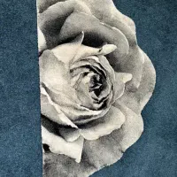 پادری گل رز جفت