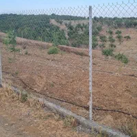 باغ فنسکشی چسبیده ب روستا