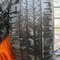 لاستیک پرادو  نکسوس