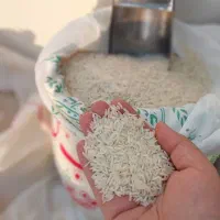 انواع برنج ایرانی|خوردنی و آشامیدنی|نهاوند, |دیوار