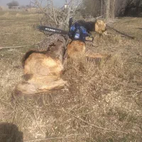 برش و خرید چوب