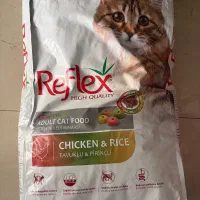 غذای خشک سگ و گربه