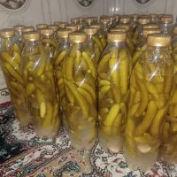 خیارشور عمده با طعم فق العاده|خوردنی و آشامیدنی|شیراز, مسلم|دیوار