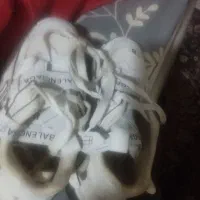 کفش شماره 40قالب کوچیک