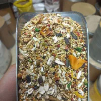 انواع دان ۷تخم کبک کبوتر پرنده و ملزومات|لوازم جانبی حیوانات|سنندج, |دیوار