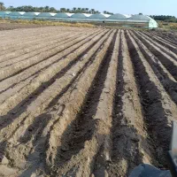 کار با تراکتور