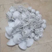 سیم و سر پیچ