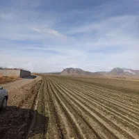 زمین کشاورزی