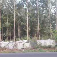 زمین-مسکونی-به-میتراژ-2344-متر-مربع