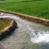 جویای چاه برا نگهبانی هستم با خانوادم