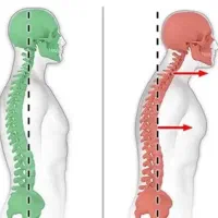 مربی بدنسازی،برنامه‌ تمرینی و حرکات اصلاحی