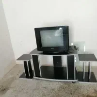 تلویزیون|تلویزیون و پروژکتور|نیشابور, شهرک بسیج|دیوار