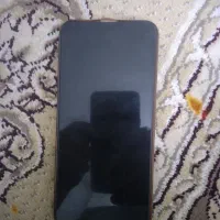 یک کوش پیدا شده