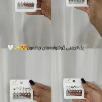 پک ۶ جفتی گوشواره اقتصادی