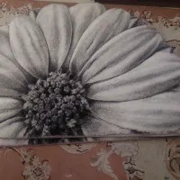 یک جفت پادری درحد نو