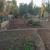 باغچه ۱۱۰۰متر دو کله|فروش زمین و ملک کلنگی|قلعه نو, |دیوار