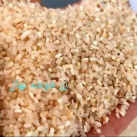 برنج طارم هاشمی اعلا از شالیزارهای شمال|خوردنی و آشامیدنی|رودهن, |دیوار