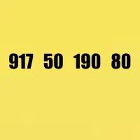 917-50-190-80