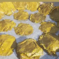 برگ مو شور تازه سردرود