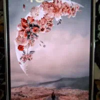 آیفون 16 پرومکس|موبایل|شهرکرد, |دیوار